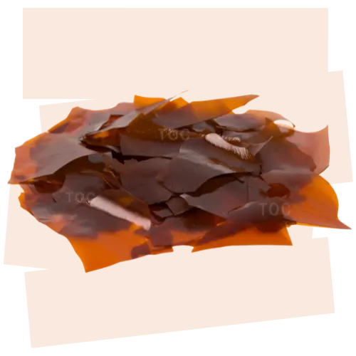 MachoneMade - Lemon 1 Shellac