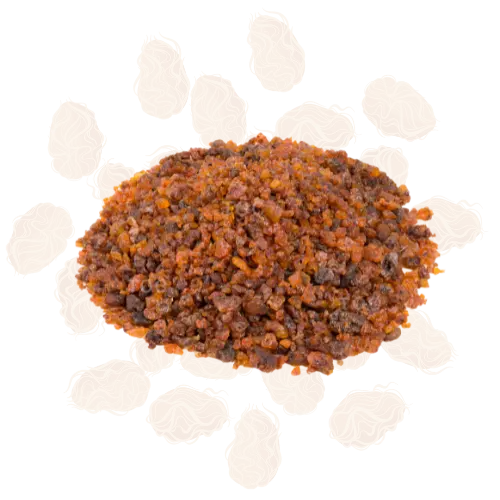 Seedlac - 3_ Seedlac