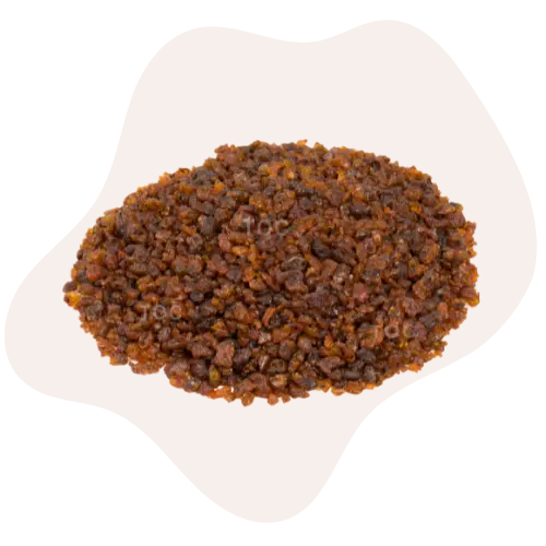 Seedlac - 5_ Seedlac